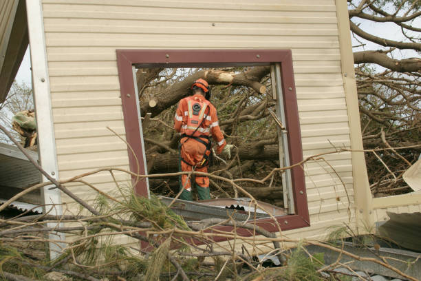 Best Hazardous Tree Removal  in Fort Bragg, CA